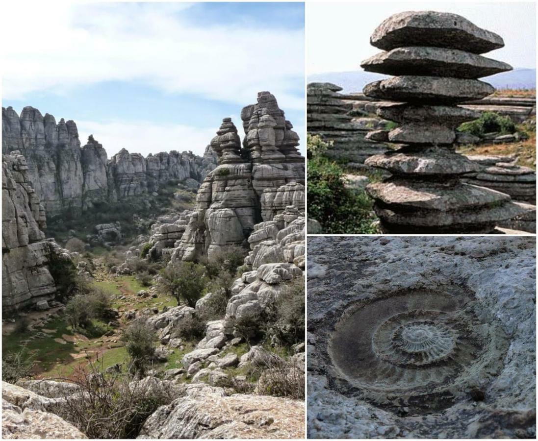 Casa Angelita Caminito Del Rey, Duplex Con Terraza En El Centro De Andalucia